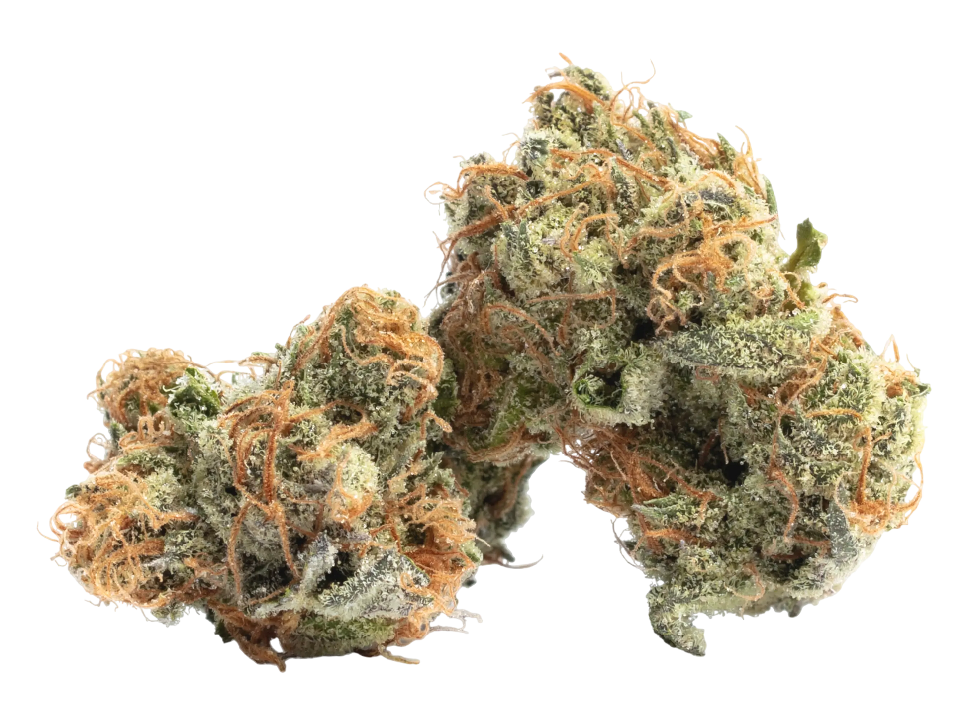 10-OH HHC Cannalope Haze | 10-oh-hhc-cannalope-haze | CBD-Baron Onlineshop