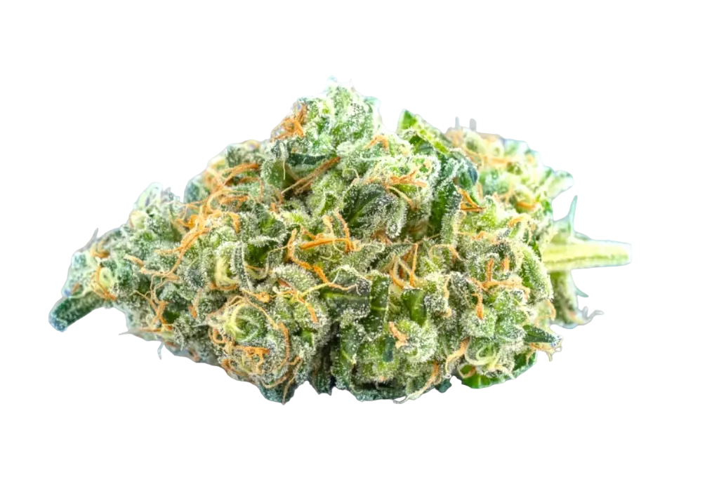 Amnesia Haze CBD | amnesia-haze-cbd | Mein Shop