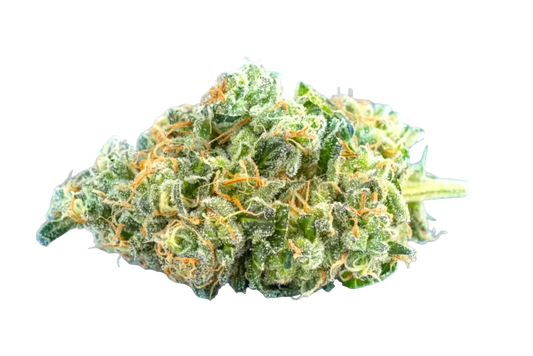 Amnesia Haze CBD | amnesia-haze-cbd | Mein Shop